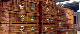 from stock or direct import | wood supply manufacturers