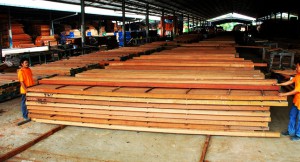filtra timber trading - rough lumber supplies