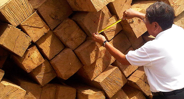 timber producers and exporters | filtra timber trading