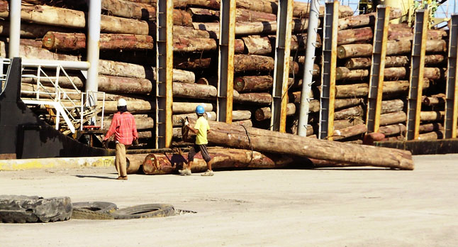 Timber Company In Philippines Filtra Timber