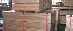 logs, sawn or machined | timber producers and exporters