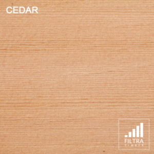 cedar