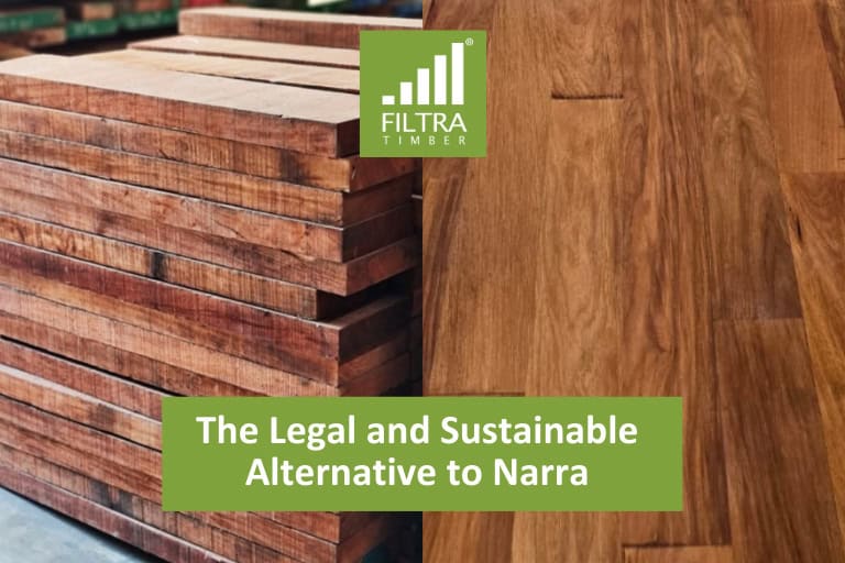 Looking for Narra? Here is the Legal, Sustainable Alternative