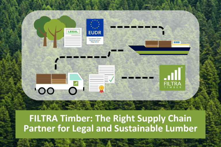 Navigating the EUDR: How FILTRA Timber Can Help Furniture Makers on This Shift