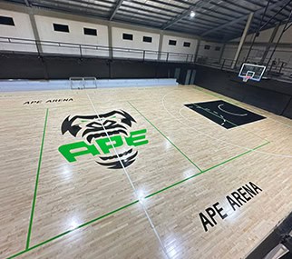 ape-arena-dagupan